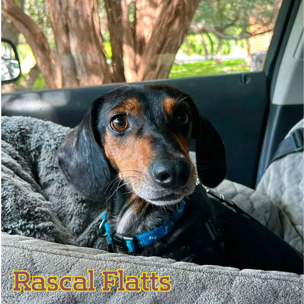 Rascal Flatts image 2