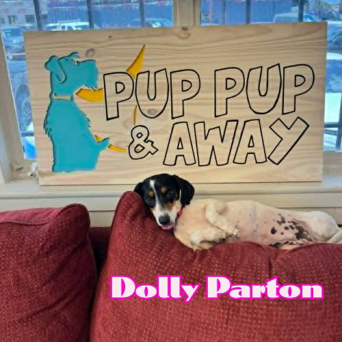 Dolly Parton photo 4