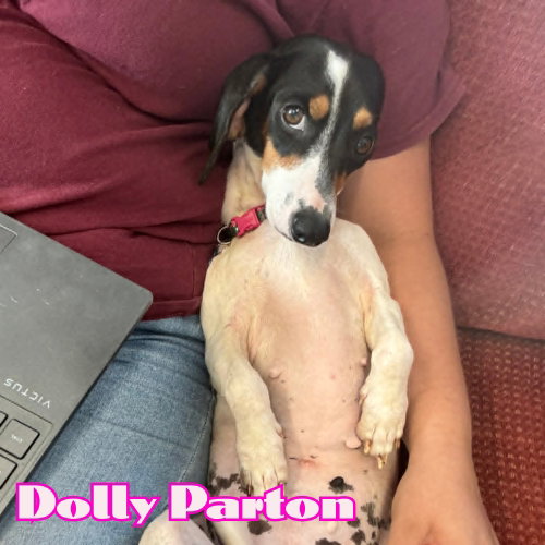 Dolly Parton photo 9