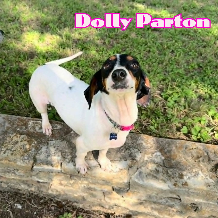 Dolly Parton