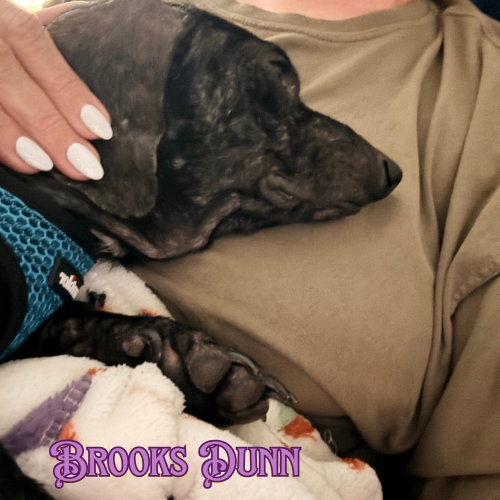 Brooks Dunn photo 7