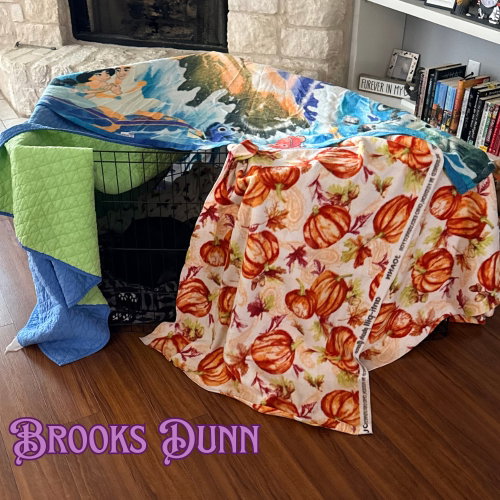 Brooks Dunn photo 9