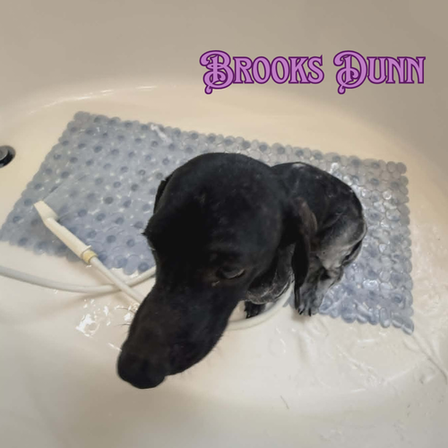 Brooks Dunn photo 10