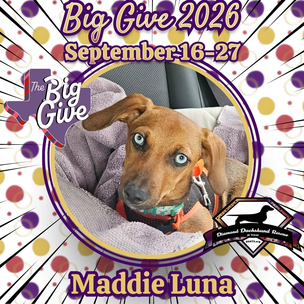 Maddie Luna