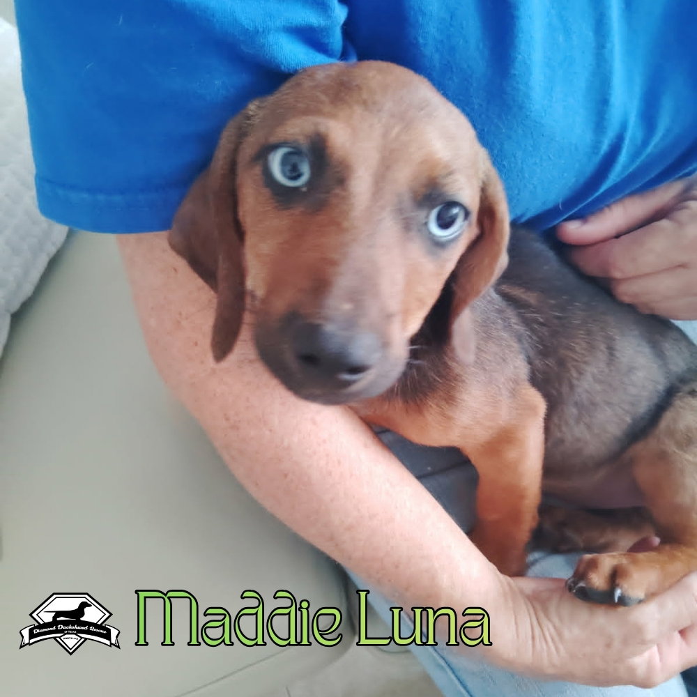 Maddie Luna, photo 2