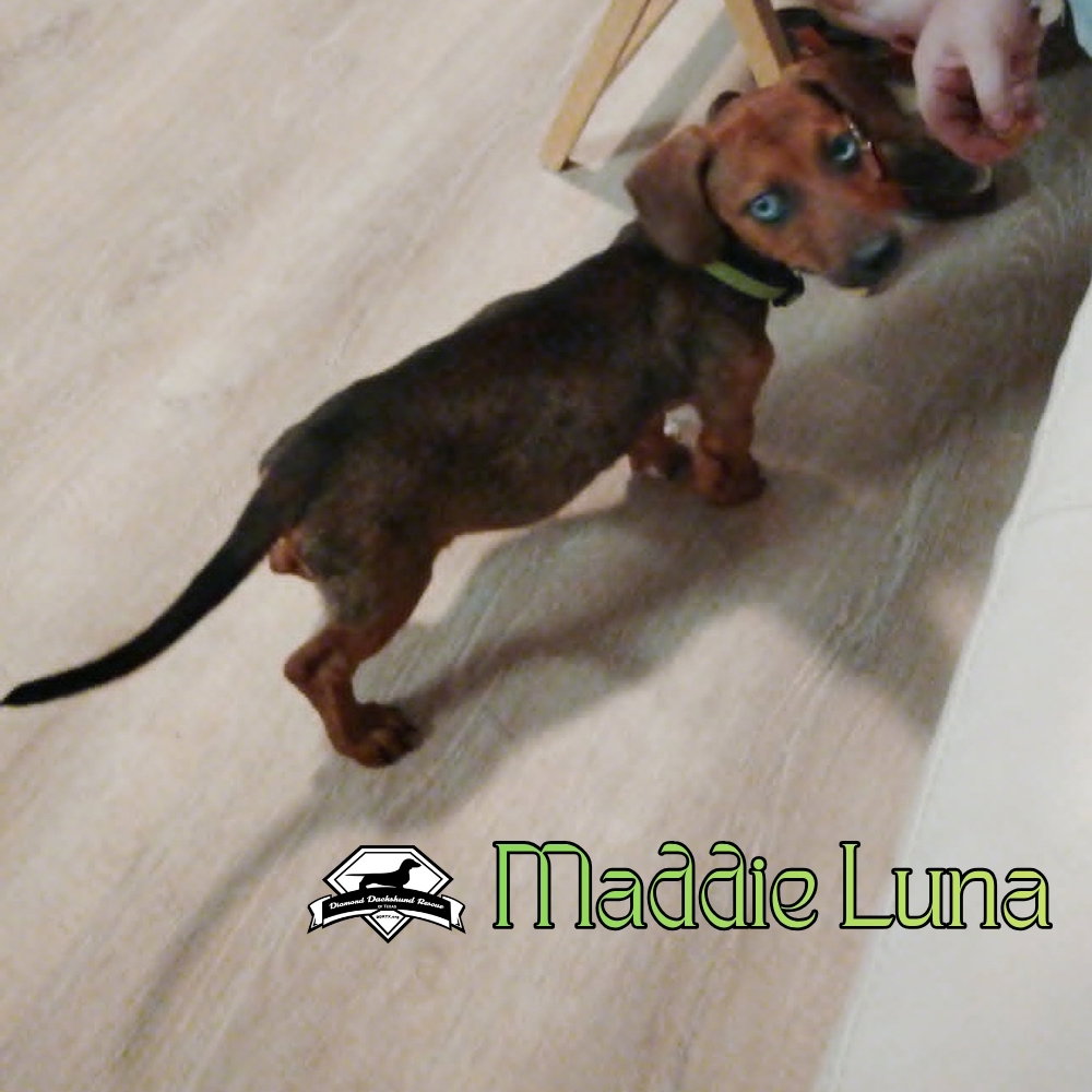 Maddie Luna, photo 3