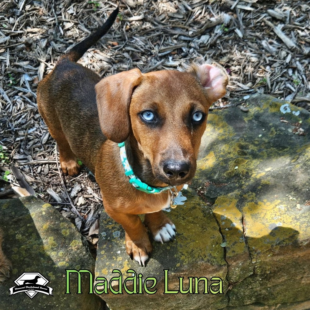 Maddie Luna, photo 6