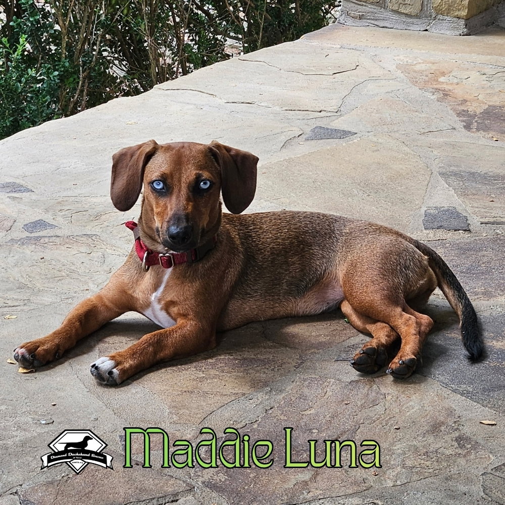 Maddie Luna, photo 8