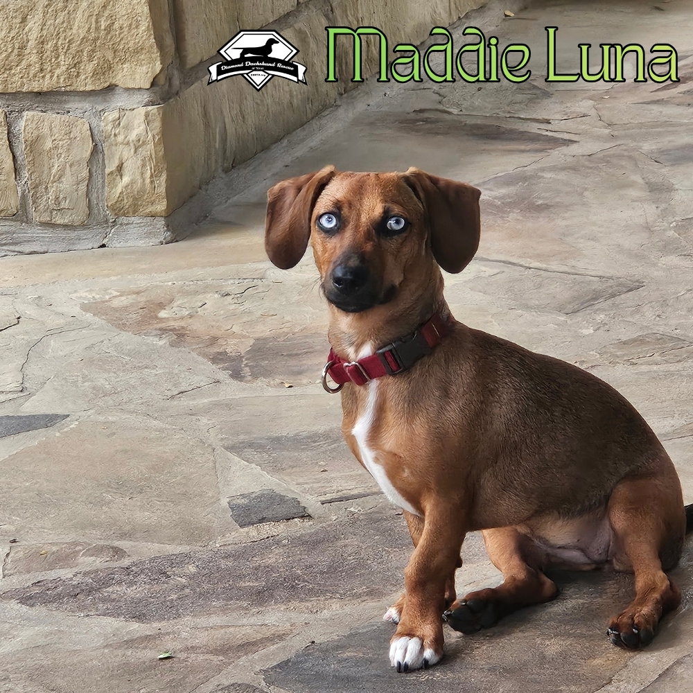 Maddie Luna, photo 9