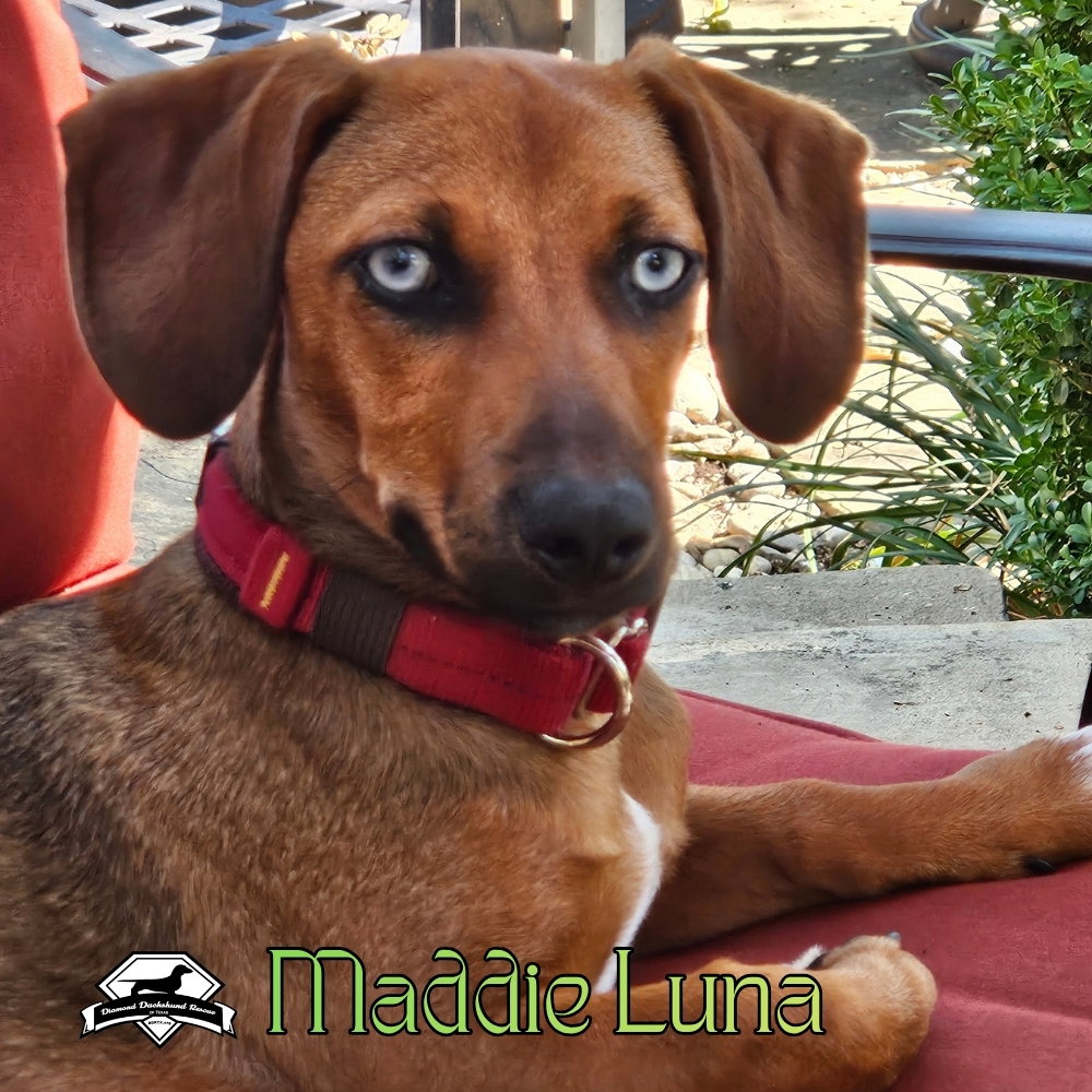 Maddie Luna, photo 10