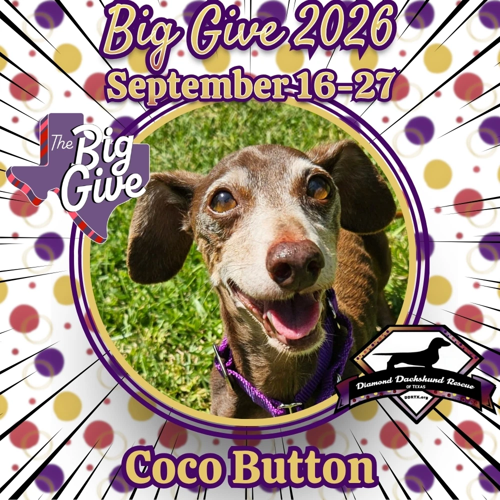 Coco Button