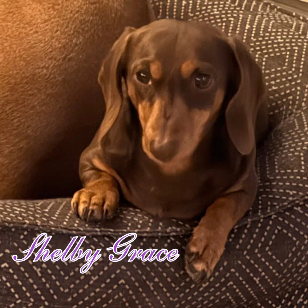 Shelby Grace image 3
