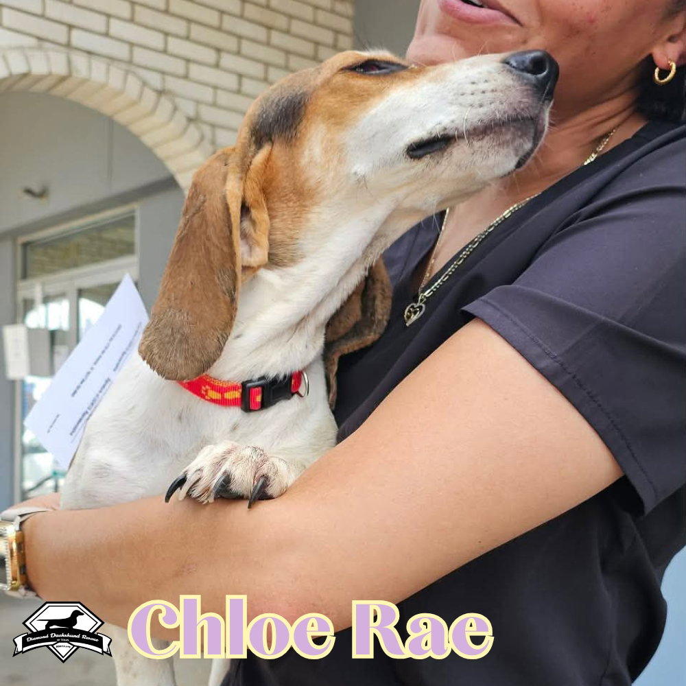 Chloe Rae, photo 4