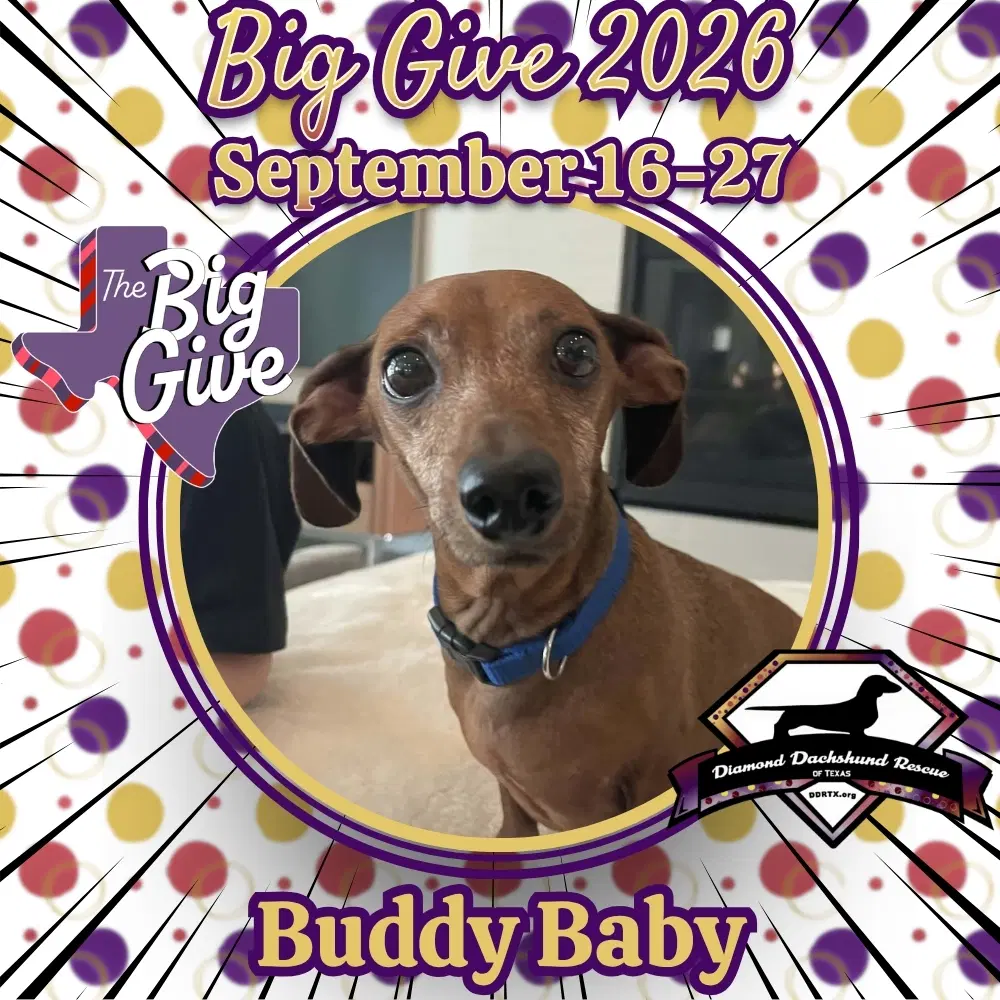Buddy Baby image 1