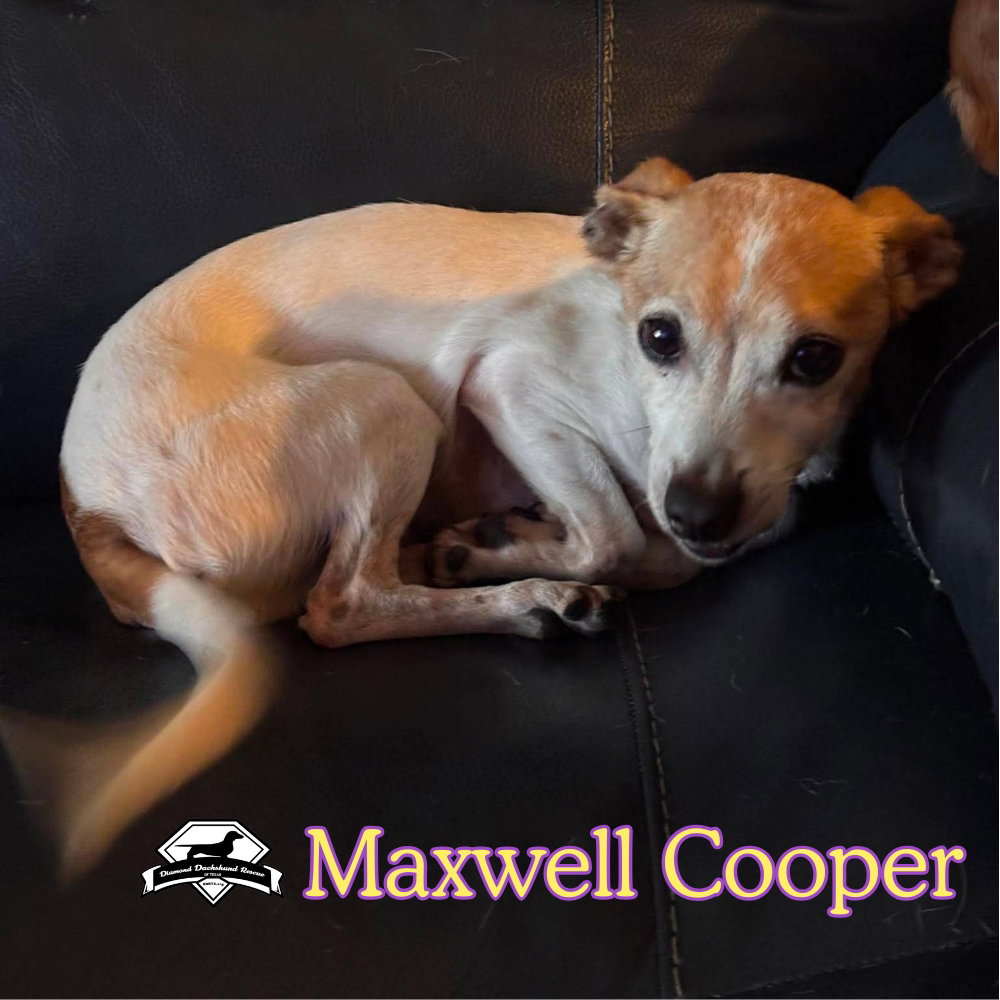 Maxwell Cooper, photo 10