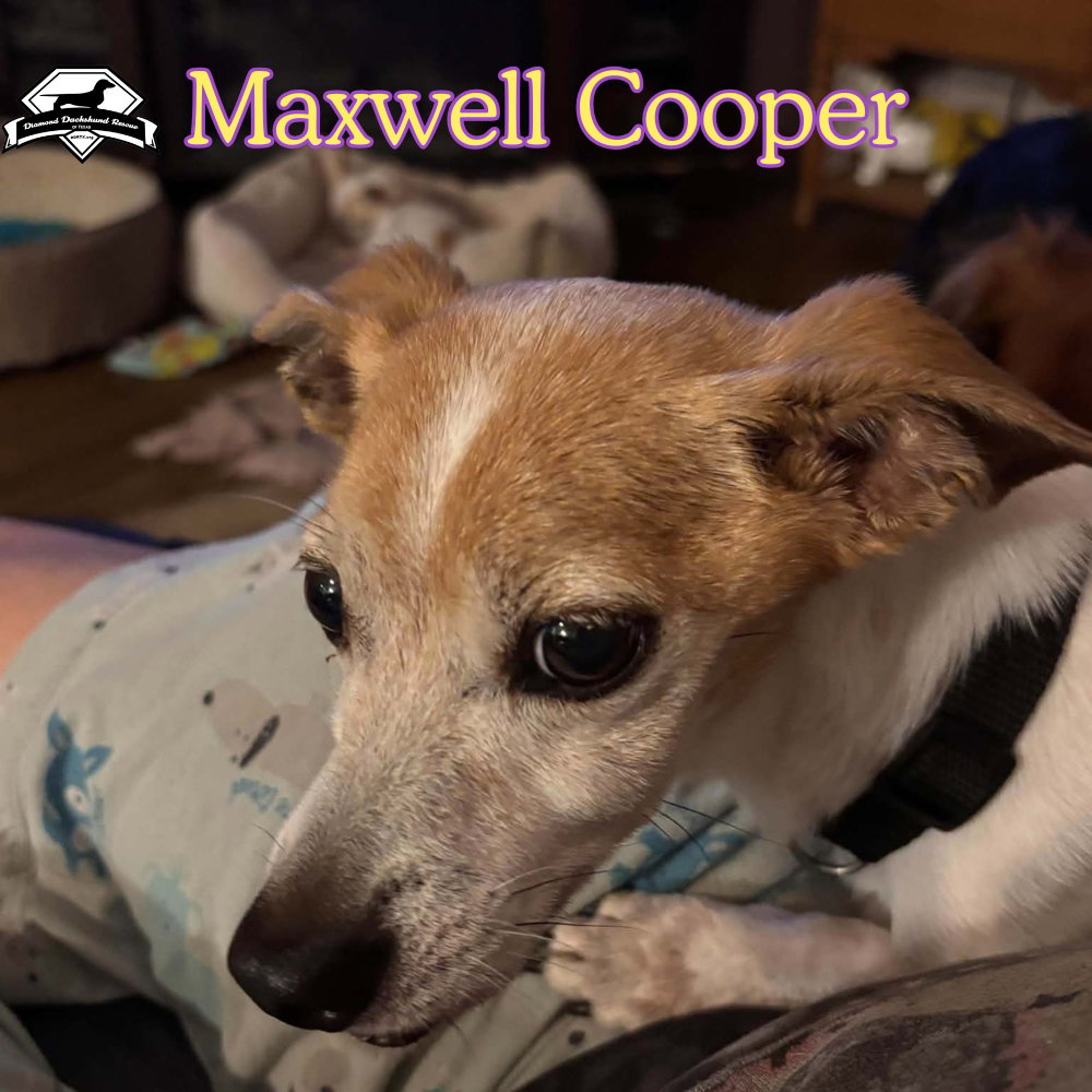 Maxwell Cooper, photo 11