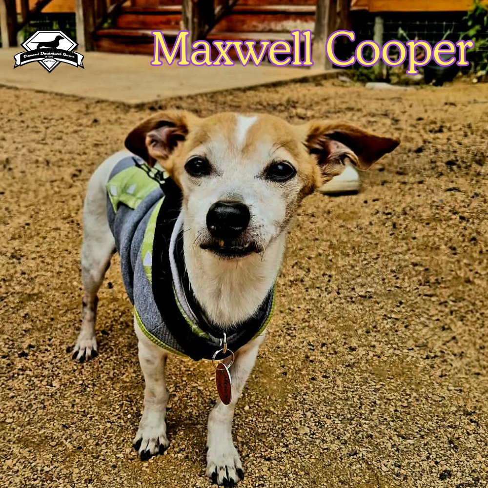 Maxwell Cooper, photo 3