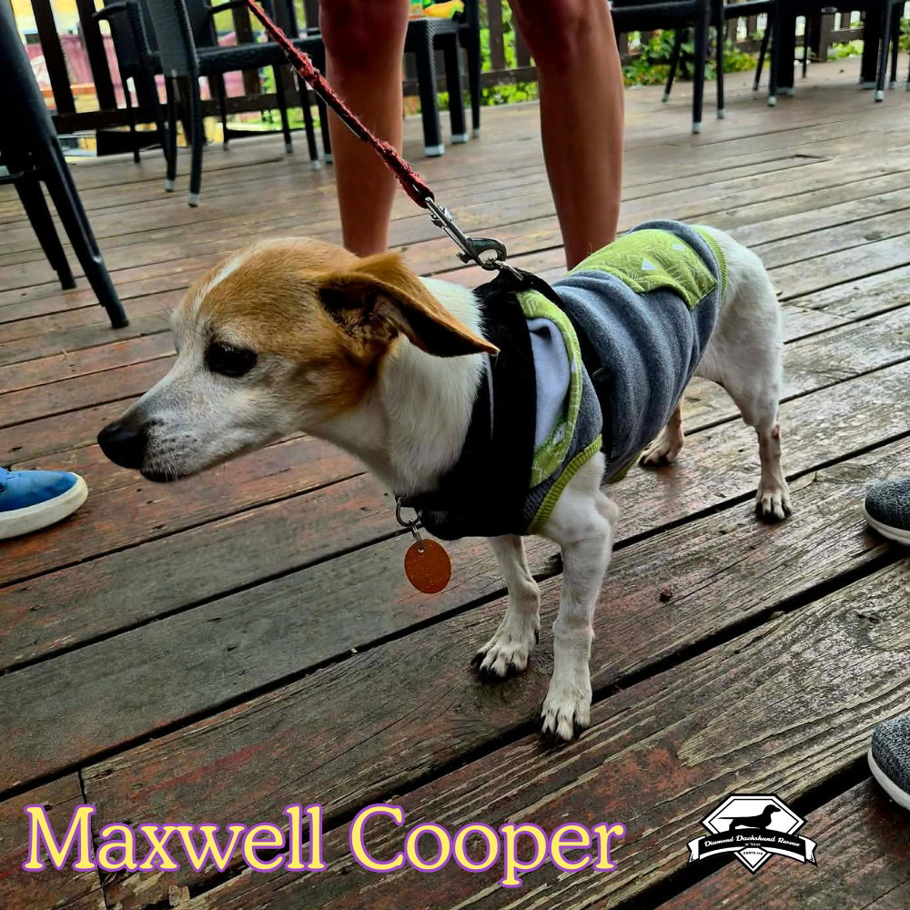 Maxwell Cooper, photo 4