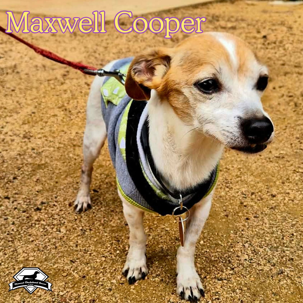 Maxwell Cooper, photo 17
