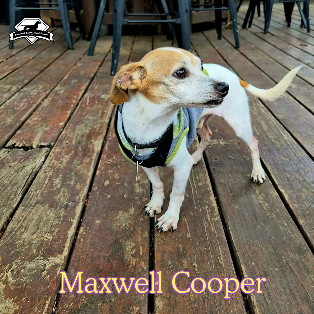 Maxwell Cooper, photo 19