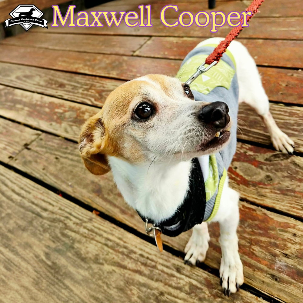 Maxwell Cooper, photo 20