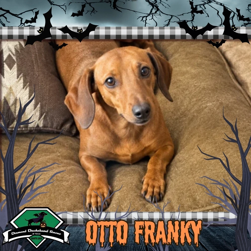 Otto Franky