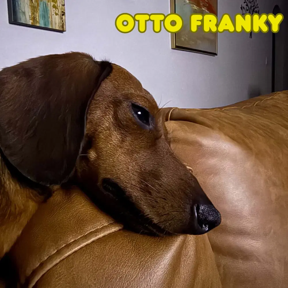 Otto Franky image 4