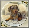 Twinkle