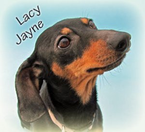 Lacy Jayne