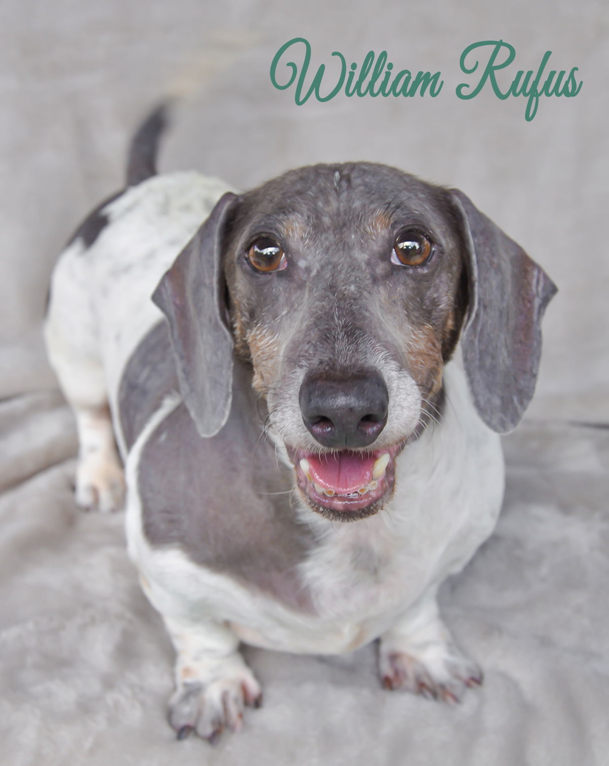 William Rufus