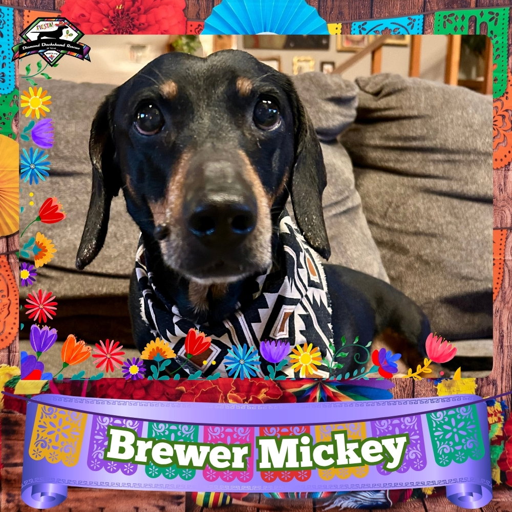 Brewer Mickey