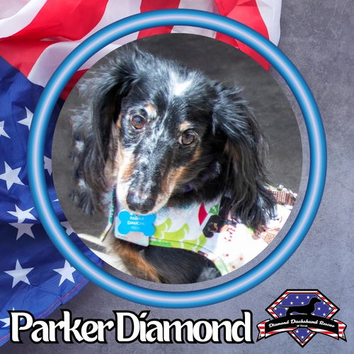 Parker Diamond