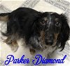 Parker Diamond