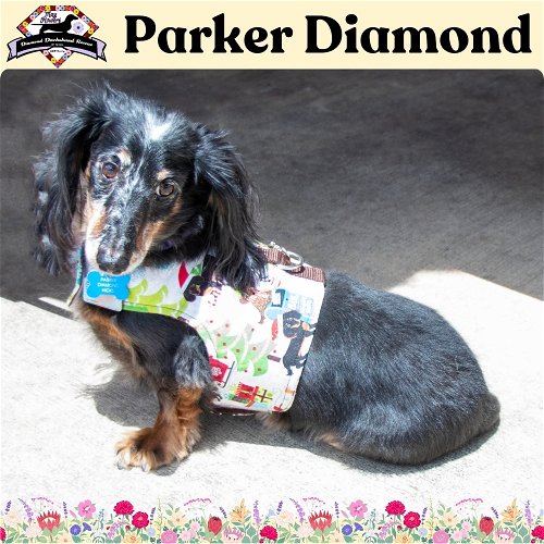 Parker Diamond