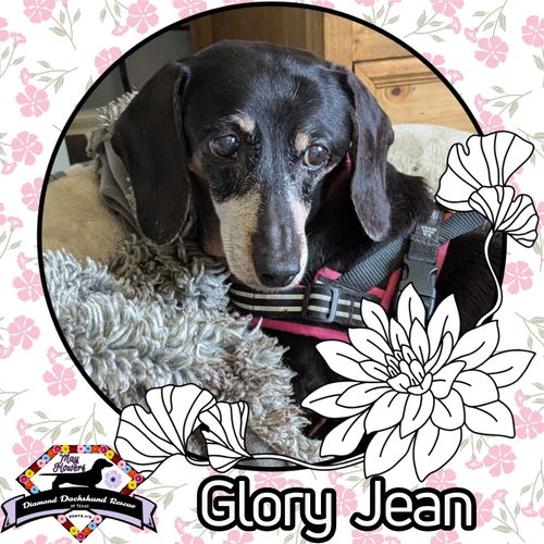 Glory Jean