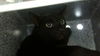 adoptable Cat in dallas, TX named BUCKIE