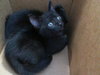 PUMBAA - Photo 1
