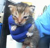 BINKY - Photo 1