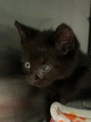 LILA - Photo 1