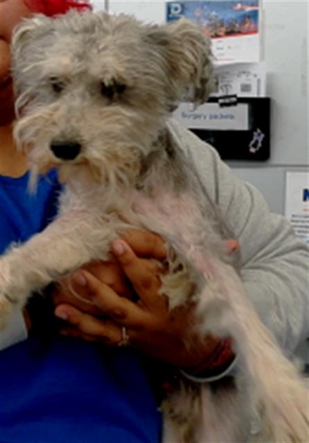 NEGAN