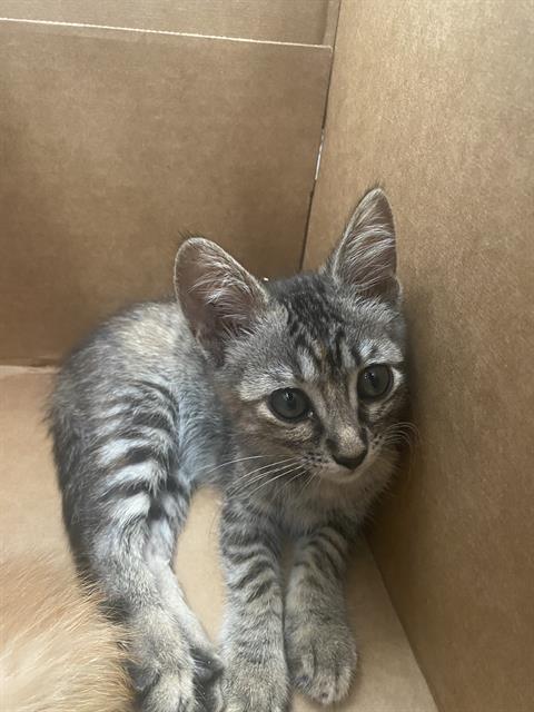 LUNA