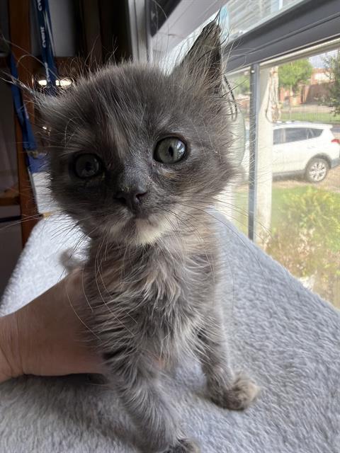 WINNIE