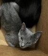 GRISELDA - Photo 1