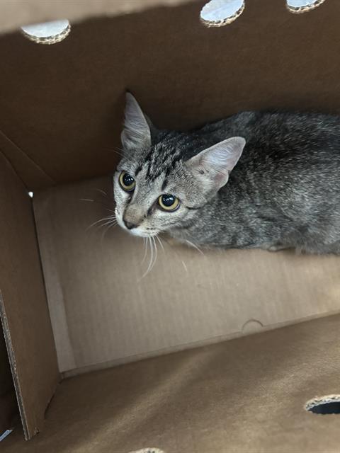 LUNA