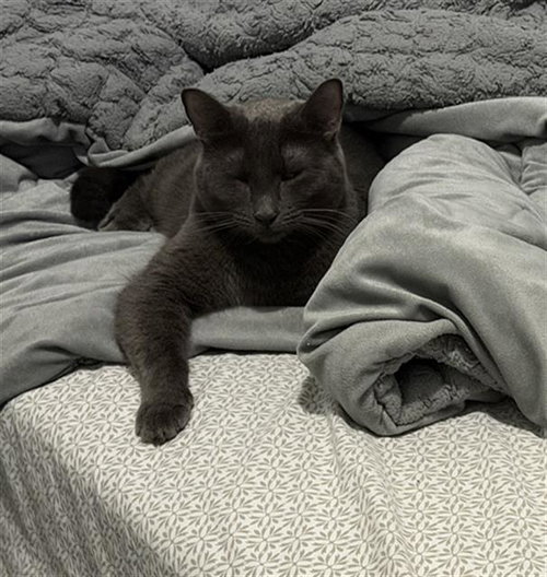 CHLOE