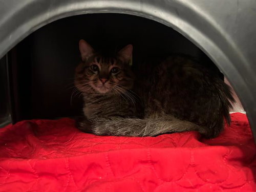 Freedom
