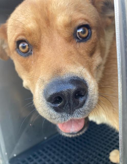 Milo