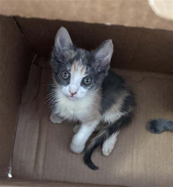 LUNA