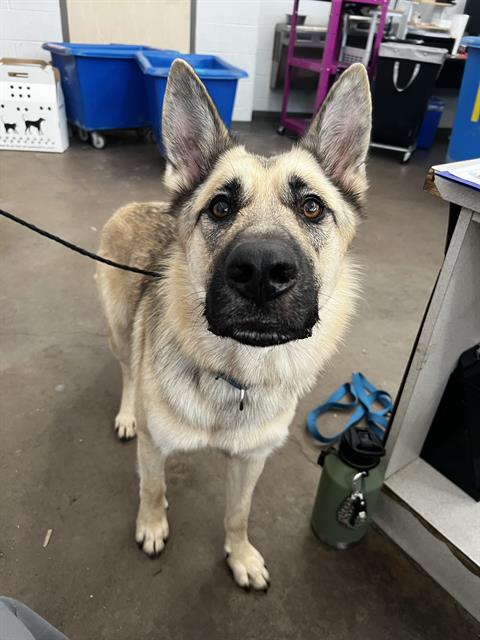 Max