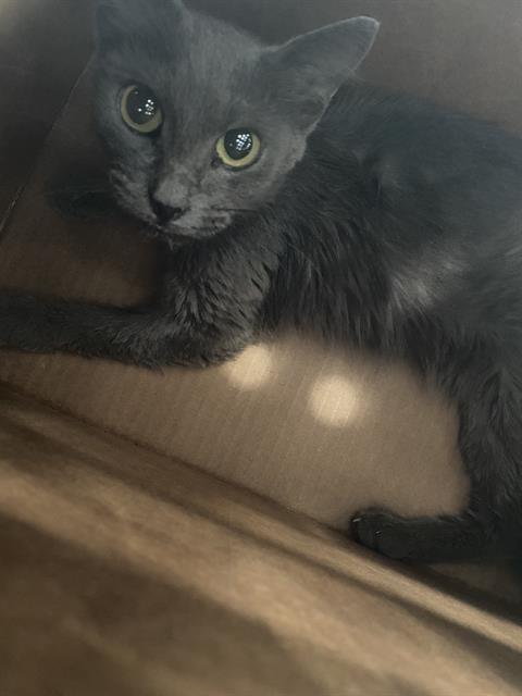 Sam